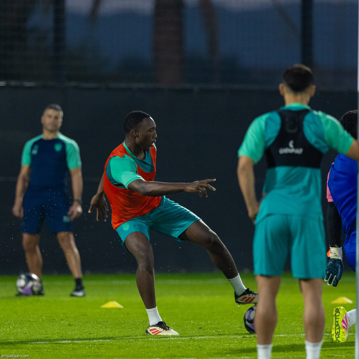 الفيحاء.. حصة أولى