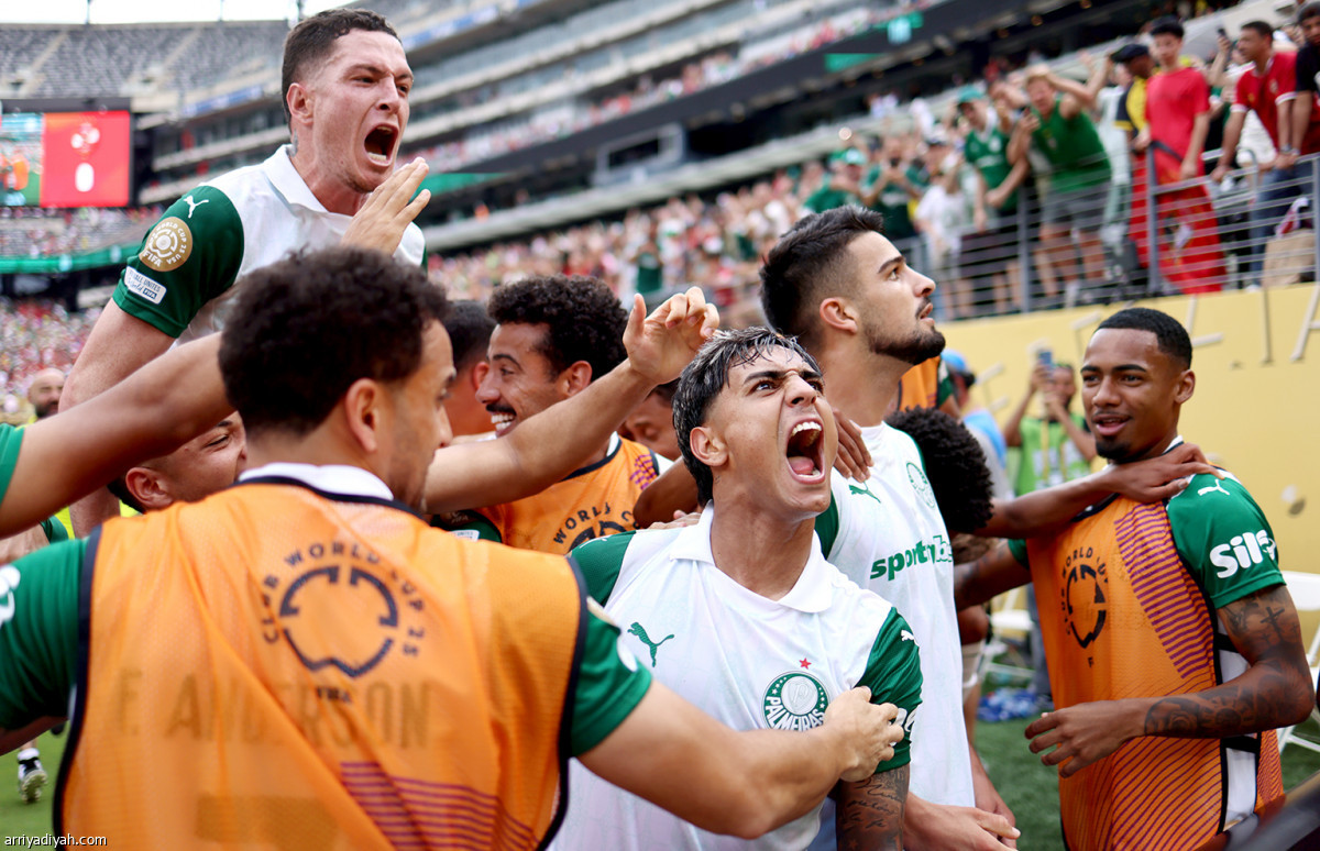 احتفال برازيلي