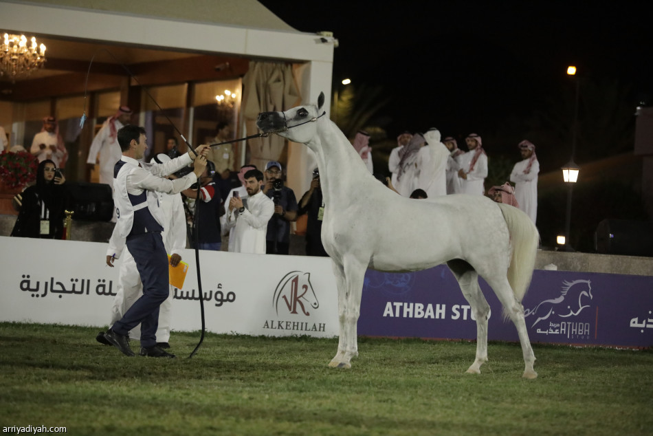 بندر الفیصل یتوج الأبطال في ختام بطولة الجمال الـ12