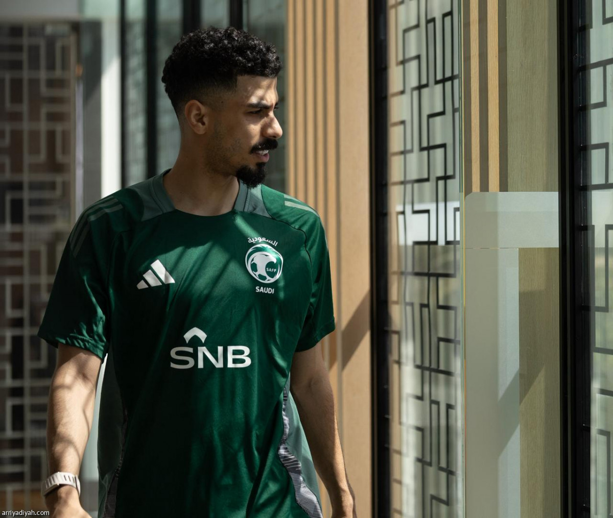 الصقور تتعافى