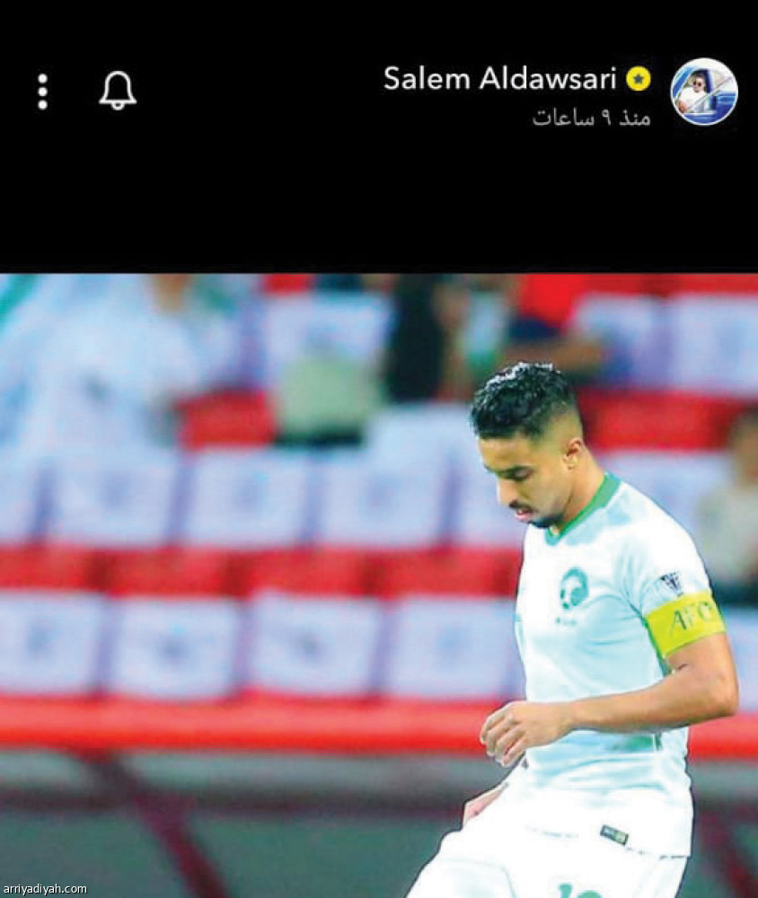 لاعبو الأخضر
7 خارج الطائر الأزرق