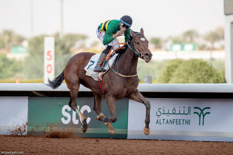 سونيك
يطير بملايين البحر الأحمر