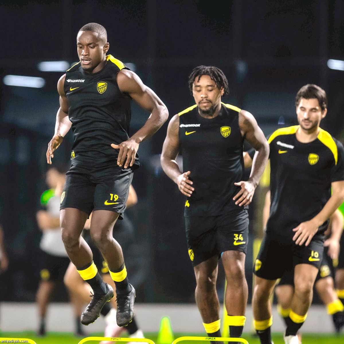 «النمور» يتجهزون