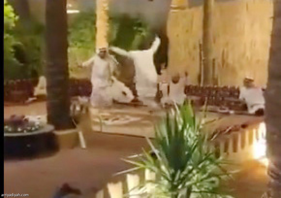 الطائي
ترند بفرحة الصعود