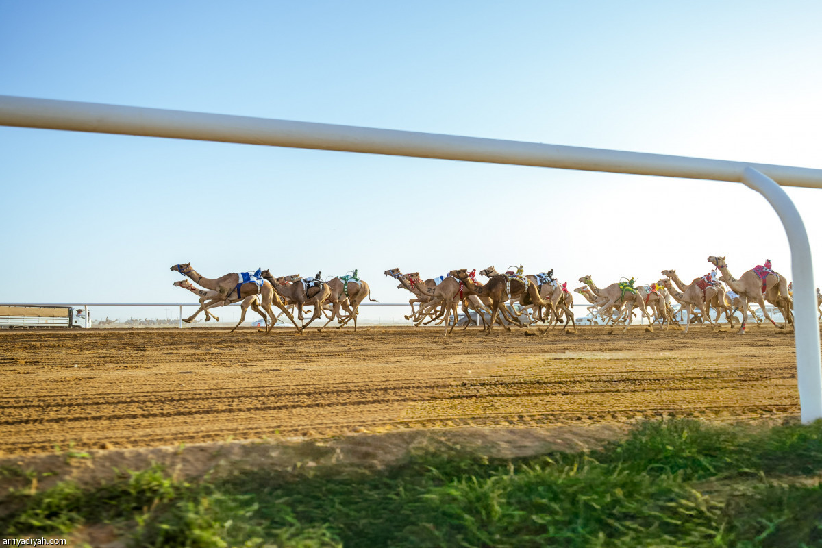 صدارة سعودية